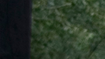 Bicicleta eléctrica o moto eléctrica: ¿cuál elegir?