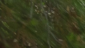 Modelos aspirantes al premio Mejor Auto del Mundo 2025: los candidatos