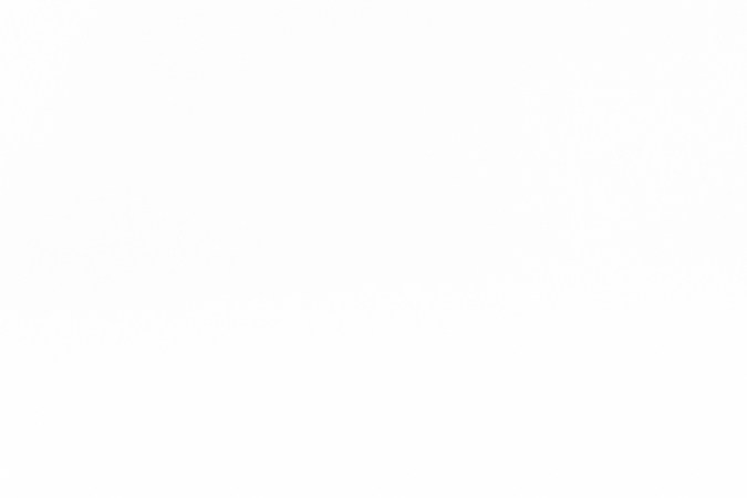 permiso de conducir en maryland​