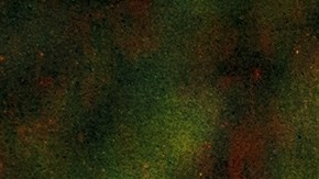 Consejos de seguridad vial para Halloween