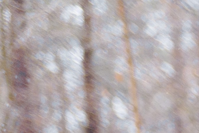 ¿Cómo llevar un árbol de navidad en el auto?