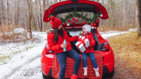 decoracion de navidad para carros