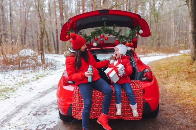 ¿Cómo llevar un árbol de navidad en el auto?