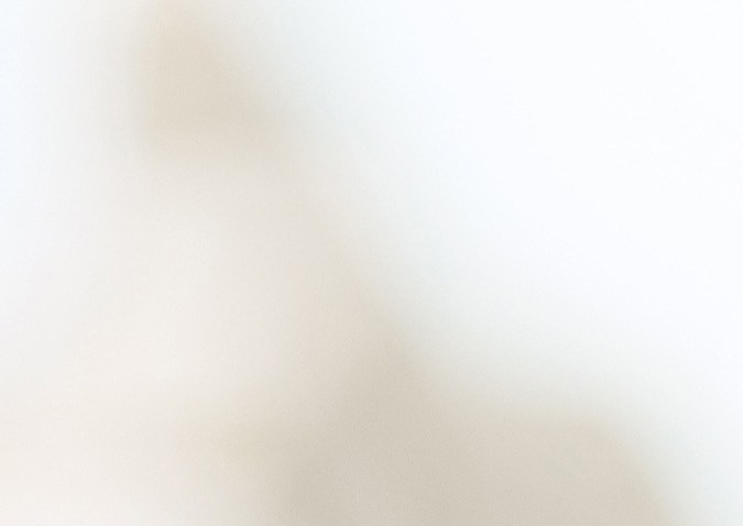 ¿Dónde puedo denunciar a una agencia de autos?