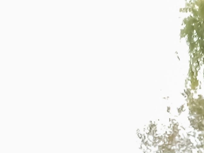 Cuáles son los colores distintivos de cada marca de auto