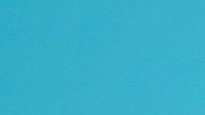 leyes de transito de la florida​