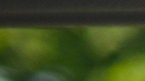 Qué es una licencia restringida en Texas