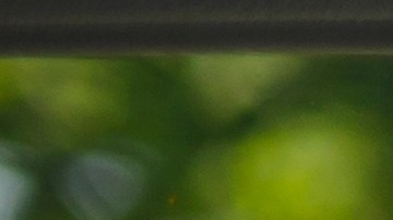 Qué es una licencia restringida en Texas