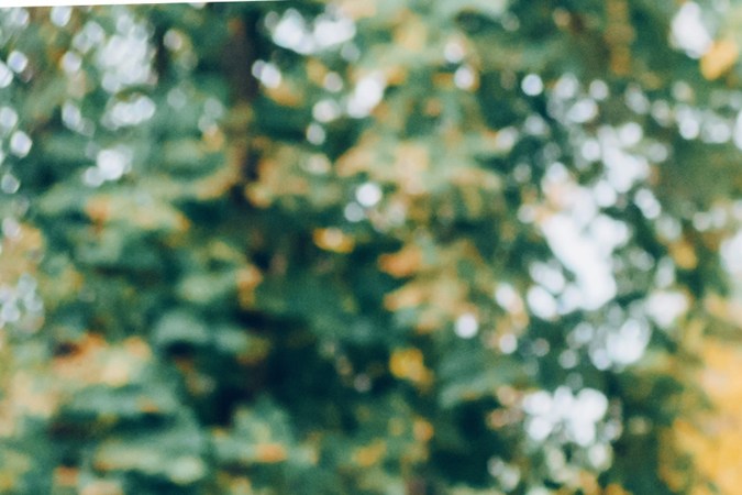 Carro decorado para Halloween