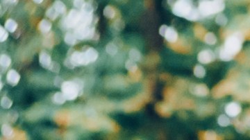 limpiar tu carro en halloween