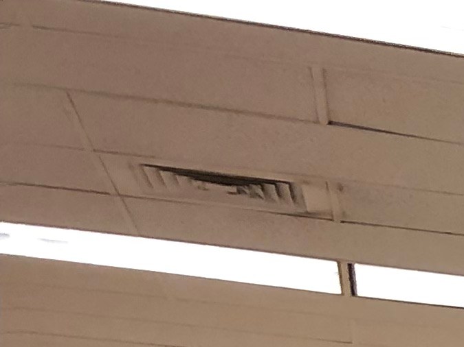 máquinas del DMV para pagar placas