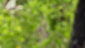 Motos de 50 cc: 10 razones para amar a estas pequeñas guerreras