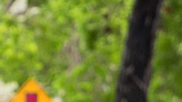 Motos de 50 cc: 10 razones para amar a estas pequeñas guerreras