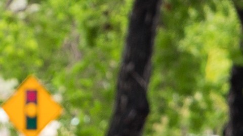 Motos de 50 cc: 10 razones para amar a estas pequeñas guerreras