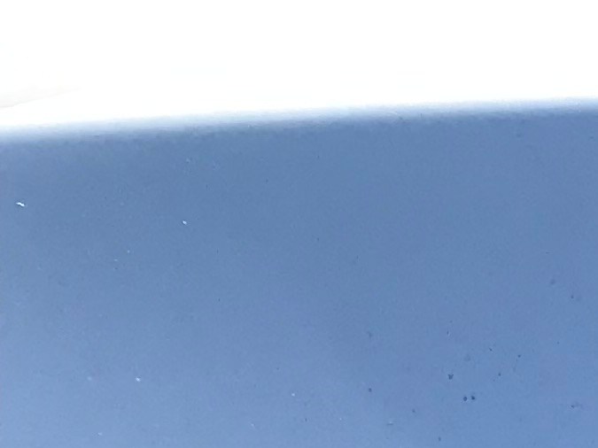 nueva ley placa de autos florida