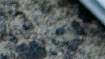 nueva ley placa de autos florida