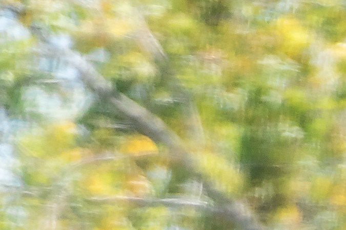 leyes de transito en florida​