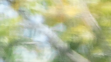 leyes de transito en florida​