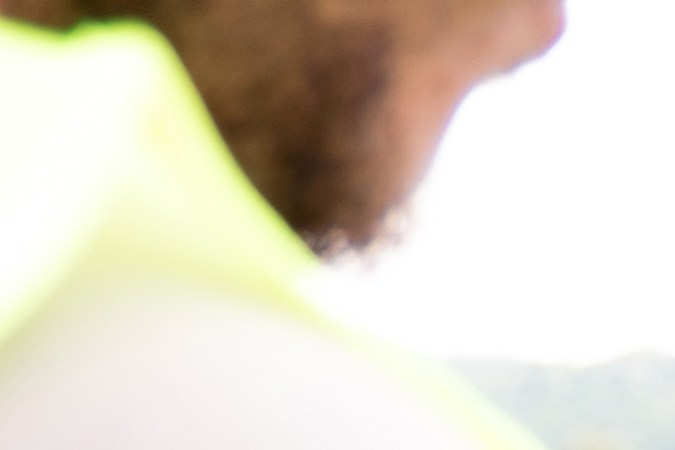 Pagar ticket por tomar alcohol en New York