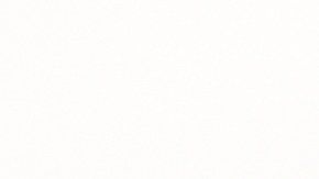 permiso de conducir en virginia​