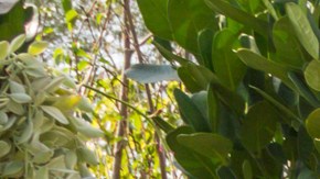 reciclado neumáticos