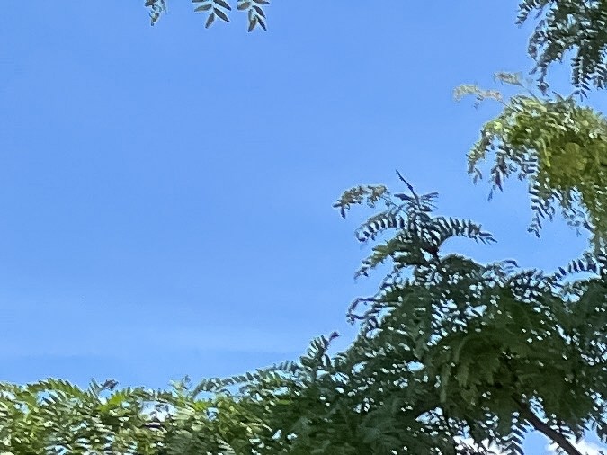 Problemas en la cámara de reversa causan el quinto retiro del Tesla Cybertruck
