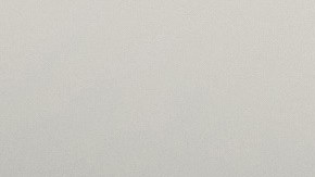 Cómo vender tu carro a un minorista en línea