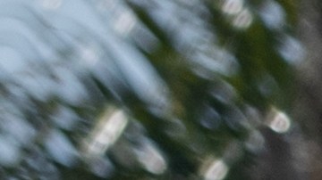 Defecto grave obliga a Toyota a retirar miles de Prius