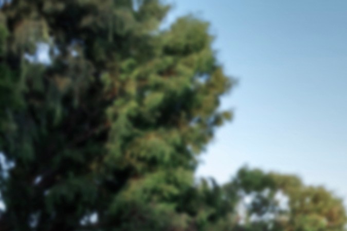 2026 Cadillac VISTIQ