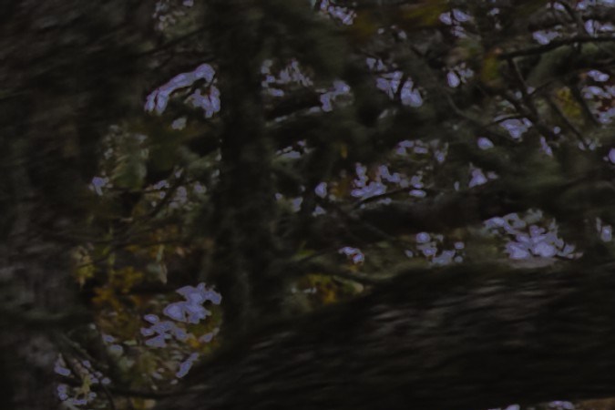 Subaru Outback o Forester: guía para elegir tu próximo SUV