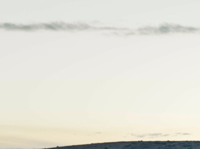 Audi Q5 Sportback 2025: más ágil y versátil