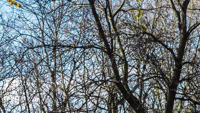 Chrysler Pacifica FAV Edition 2025: la miniván perfecta para viajes familiares