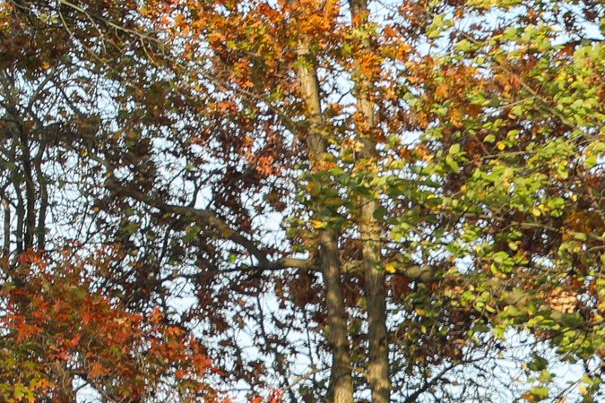 Chrysler Pacifica FAV Edition 2025: la miniván perfecta para viajes familiares