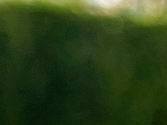 ¿Qué pasa si manejo sin placas en Estados Unidos?