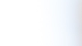 placa falsa en Estados Unidos