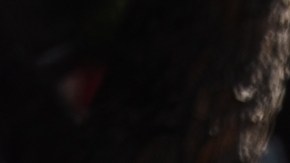 Claves para entender la F1 como un verdadero fan