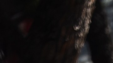 Claves para entender la F1 como un verdadero fan