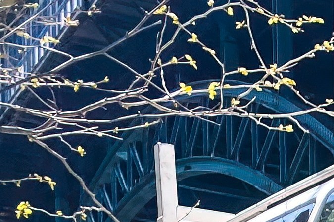 GMC Savana 2025: la furgoneta que sigue fiel a sus inicios