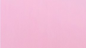 Jaguar nueva identidad