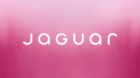 Jaguar nueva identidad