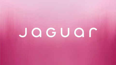 Jaguar nueva identidad