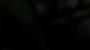 ¿Qué esconde el auto del próximo presidente de E.E.U.U.?