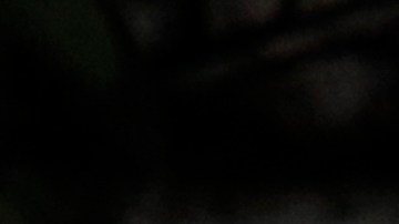 ¿Qué esconde el auto del próximo presidente de E.E.U.U.?