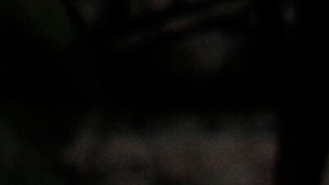 ¿Qué esconde el auto del próximo presidente de E.E.U.U.?