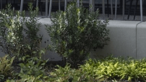 Lincoln Aviator 2025: el SUV de lujo actualizado ya está en México