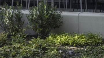 Lincoln Aviator 2025: el SUV de lujo actualizado ya está en México