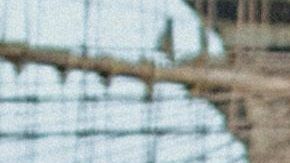 Porsche llega a México con su primer SUV eléctrico: ¿cuánto cuesta?