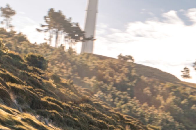 Después de casi 20 años, Morgan vuelve al mercado en Estados Unidos