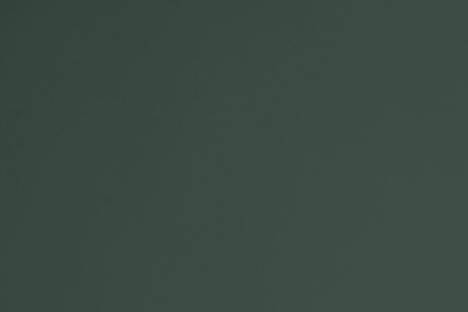 Después de casi 20 años, Morgan vuelve al mercado en Estados Unidos