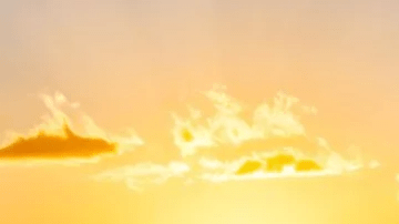 Polaris-RZR-Pro-R-Race-Replica-LE